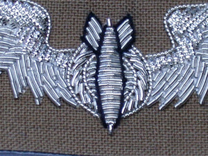 Bombardier Wings