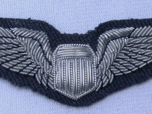 Load image into Gallery viewer, Bullion Pilot Wing Insignia
