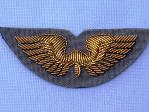 Flight Instructor Wing Insignia