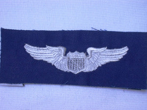 Pilot Wing Insignia