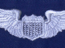 Load image into Gallery viewer, Pilot Wing Insignia
